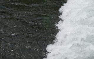 De juiste waterontharder kiezen voor jouw woning - AquaSoft Pro