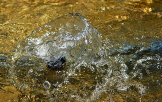 De werking van de waterontharder? - AquaSoft Pro